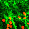 Research Picture