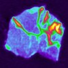 Research Picture