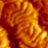 SDS/Gold
